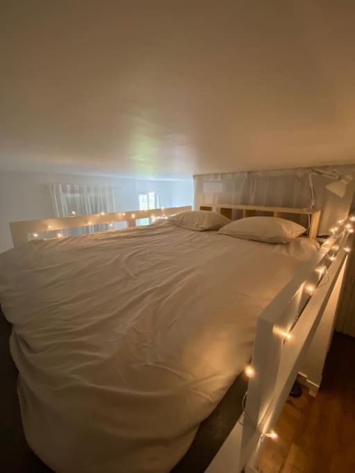 Appartement De Charme Pres Du Stade De France 생드니 외부 사진